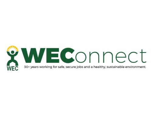 WEConnect Newsletter Archives
